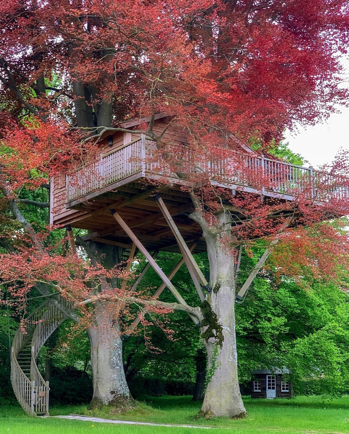 cabane perchée de luxe